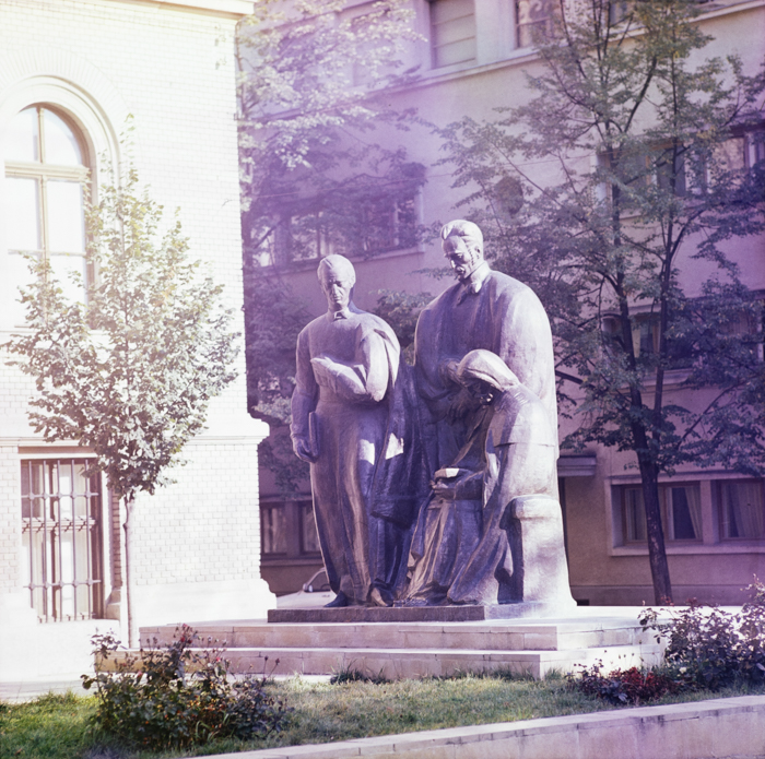 minerva_deak_f_c3_s1_5_romania-008