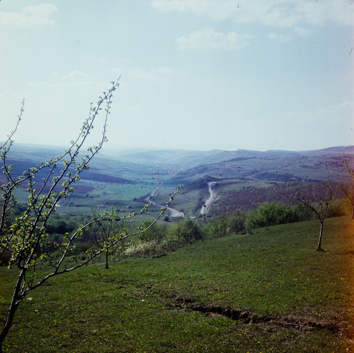 minerva_deak_f_c3_s1_5_romania-011