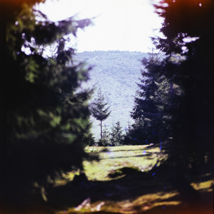 minerva_deak_f_c3_s1_5_romania-012