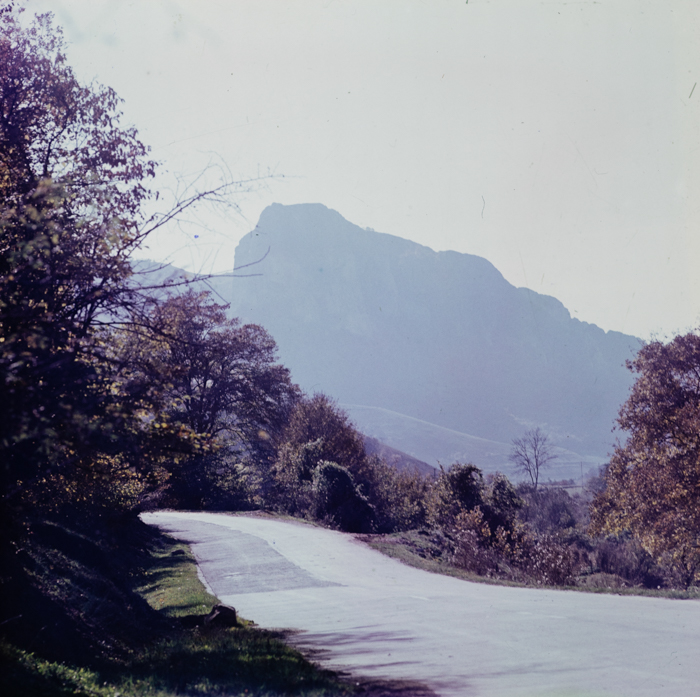 minerva_deak_f_c3_s1_5_romania-013