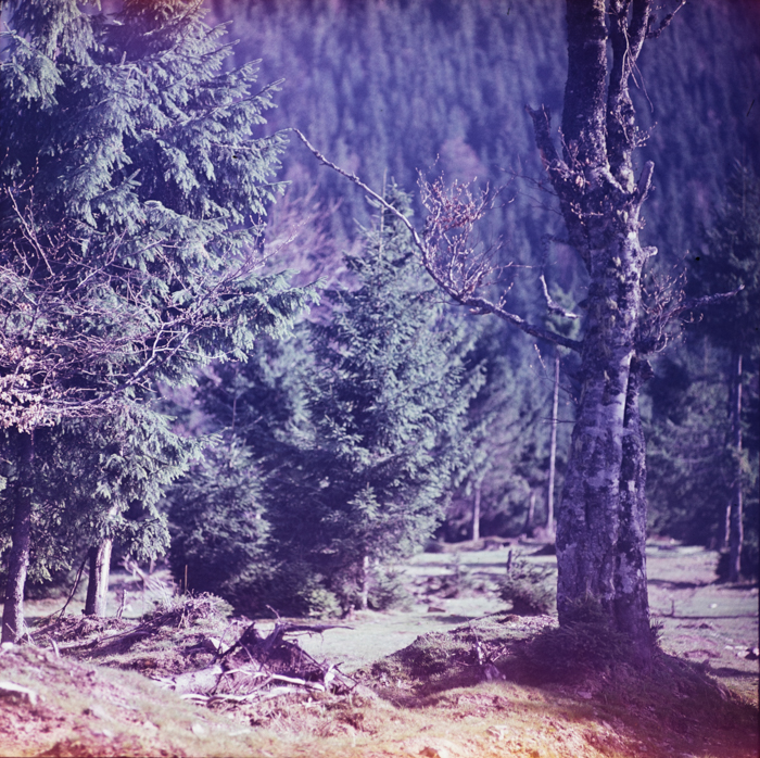 minerva_deak_f_c3_s1_5_romania-014