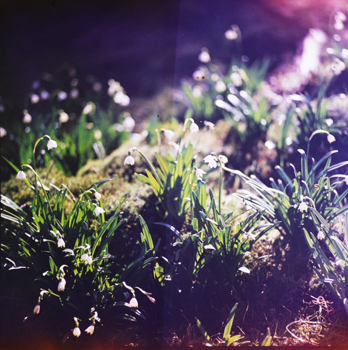 minerva_deak_f_c3_s1_6_erdély-009