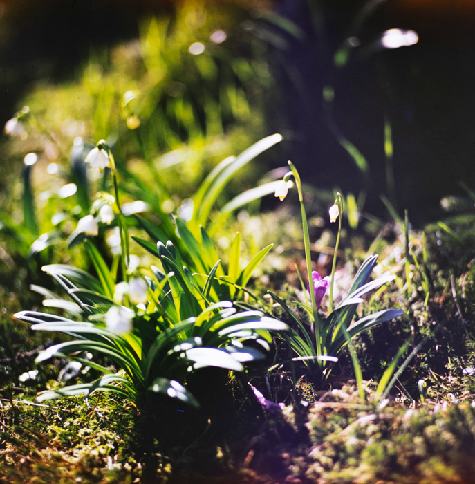 minerva_deak_f_c3_s1_6_erdély-010