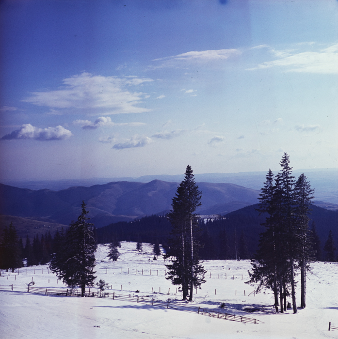 minerva_deak_f_c3_s1_7-007