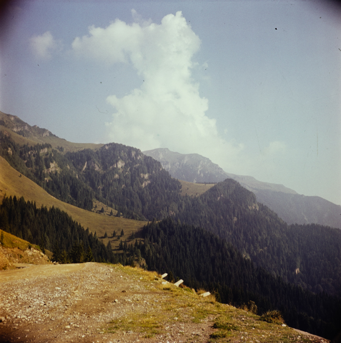 minerva_deak_f_c3_s1_7-011