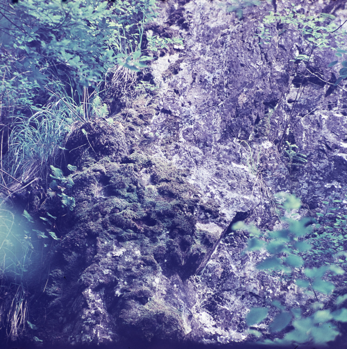 minerva_deak_f_c3_s1_8-007