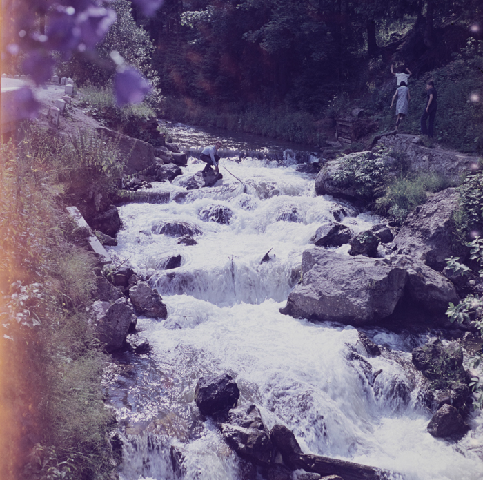 minerva_deak_f_c3_s1_8-009