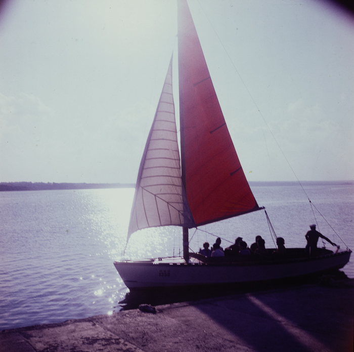 minerva_deak_f_c3_s1_9_romania-008