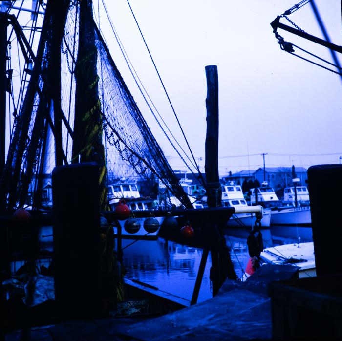 minerva_deak_f_c3_s2_24_1979_nov_freeport-001