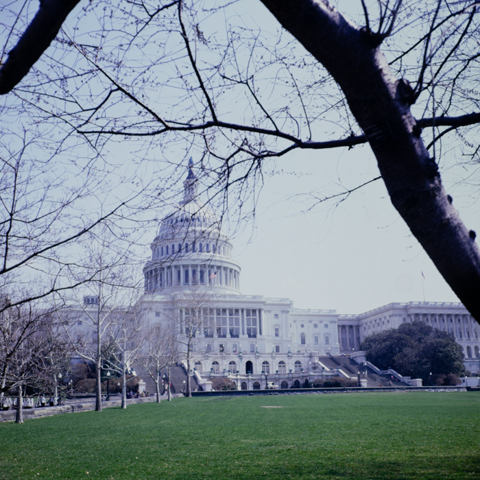 minerva_deak_f_c3_s2_28_1982_nov_washington-005