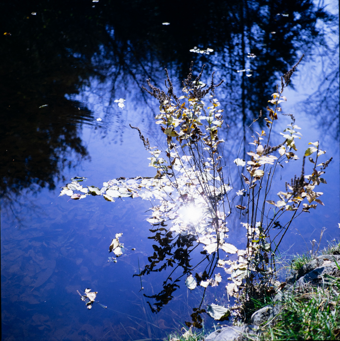 minerva_deak_f_c3_s2_29_1979_oct_keckil-006