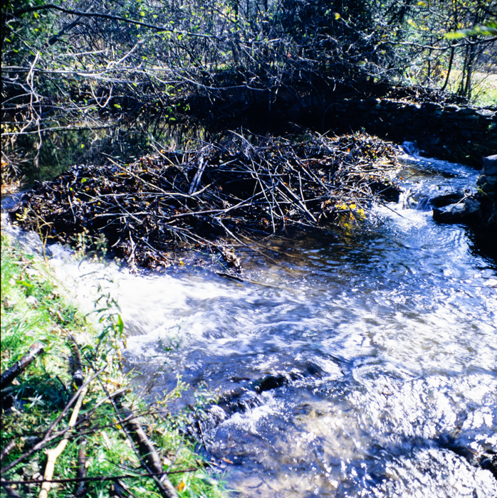 minerva_deak_f_c3_s2_29_1979_oct_keckil-011