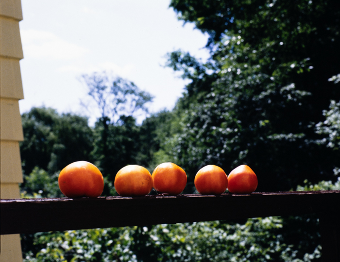 minerva_deak_f_c3_s2_34_stb-006