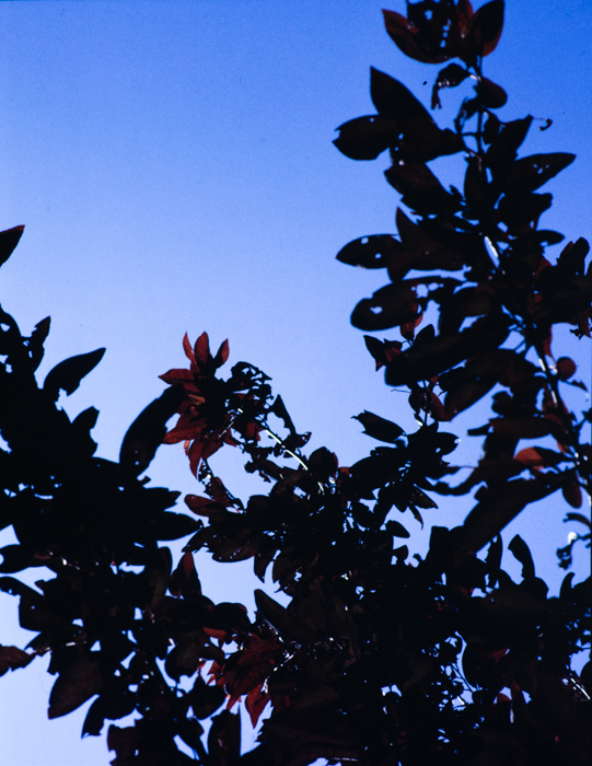 minerva_deak_f_c3_s2_34_stb-015