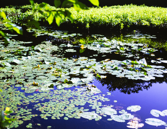 minerva_deak_f_c3_s2_47_1983_jul_4-006