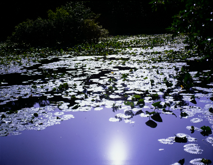 minerva_deak_f_c3_s2_47_1983_jul_4-008