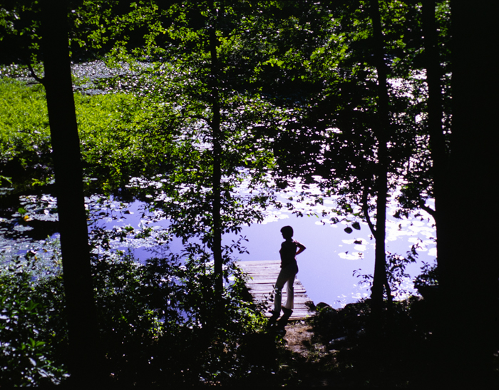 minerva_deak_f_c3_s2_47_1983_jul_4-009