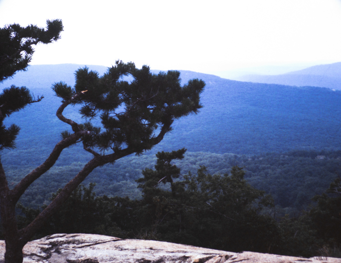 minerva_deak_f_c3_s2_48_1983_aug_bert_mt-001