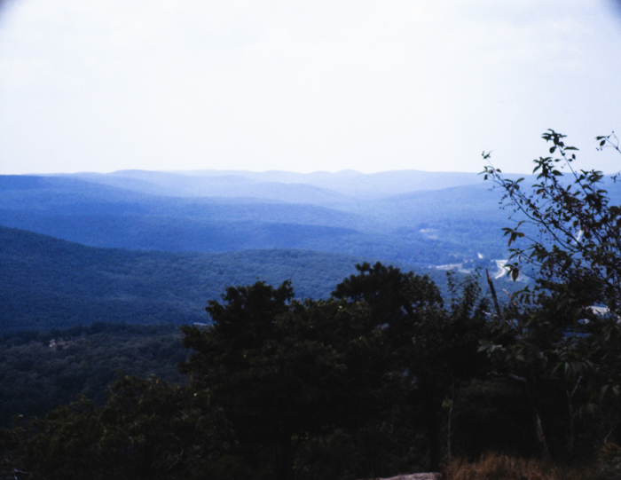 minerva_deak_f_c3_s2_48_1983_aug_bert_mt-003