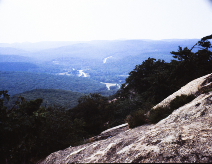 minerva_deak_f_c3_s2_48_1983_aug_bert_mt-004