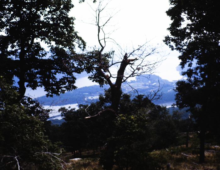 minerva_deak_f_c3_s2_48_1983_aug_bert_mt-007