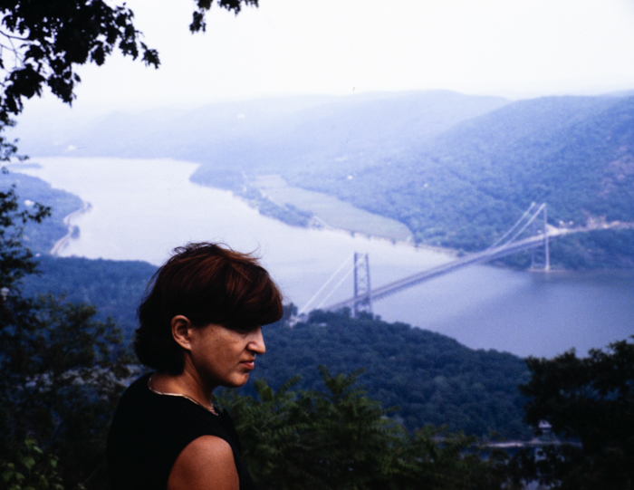 minerva_deak_f_c3_s2_48_1983_aug_bert_mt-012