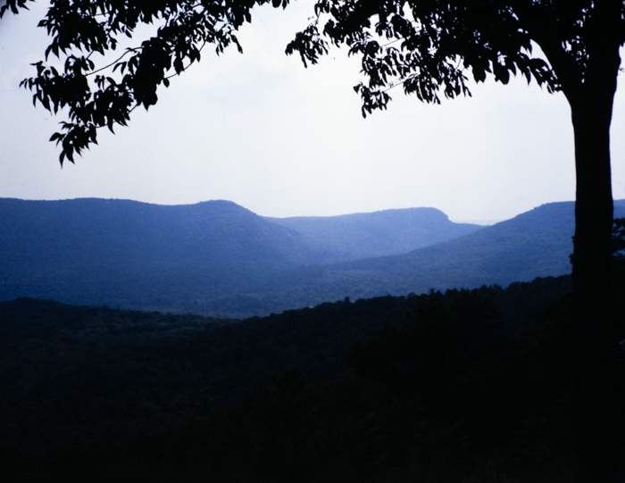 minerva_deak_f_c3_s2_48_1983_aug_bert_mt-015