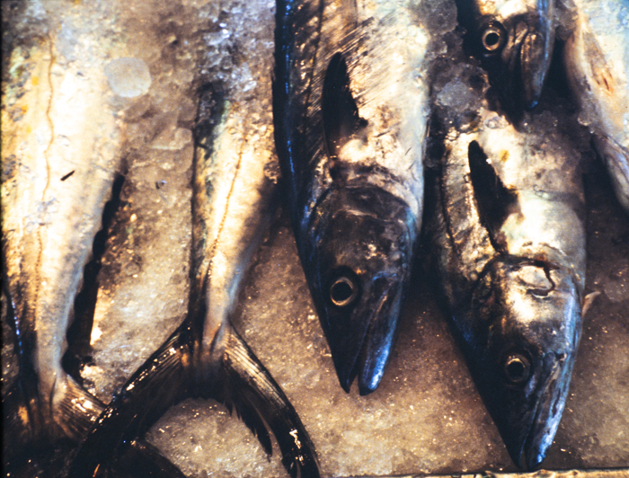 minerva_deak_f_c3_s2_50_1983_aug_freeport-006