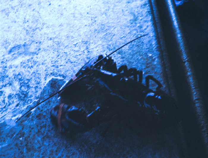 minerva_deak_f_c3_s2_50_1983_aug_freeport-008