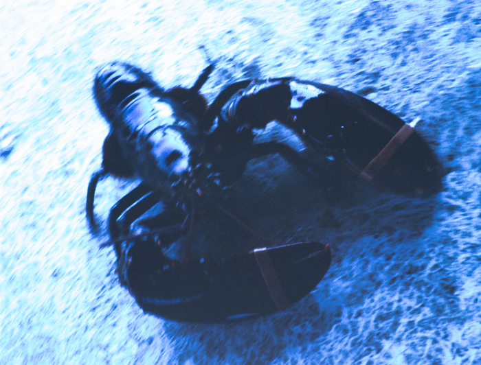 minerva_deak_f_c3_s2_50_1983_aug_freeport-010