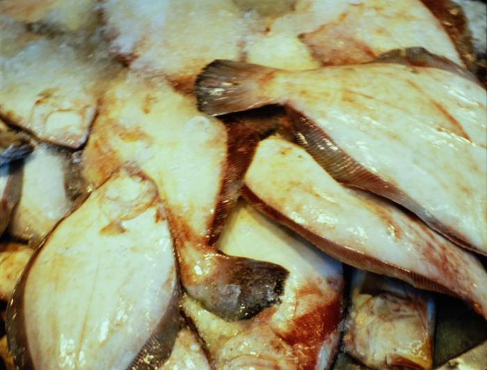 minerva_deak_f_c3_s2_50_1983_aug_freeport-012