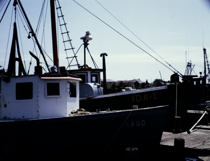 minerva_deak_f_c3_s2_51_1983_aug_freeport-002