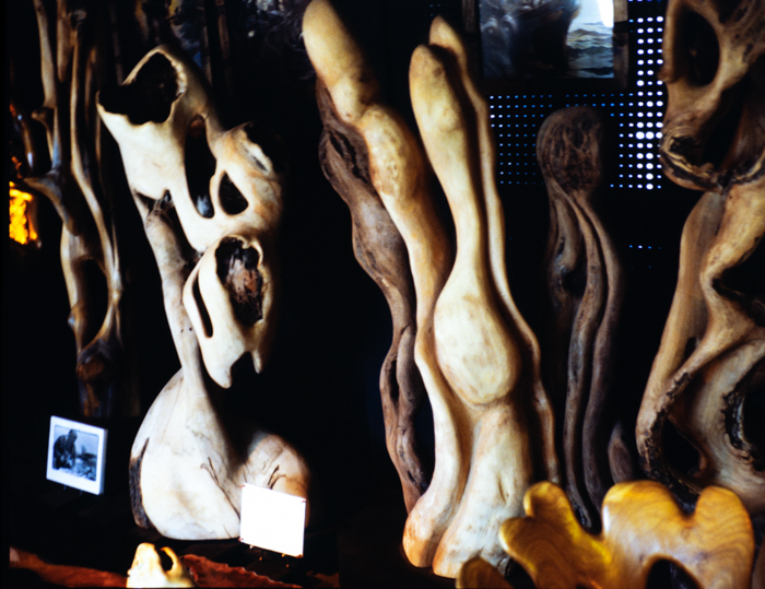 minerva_deak_f_c3_s2_51_1983_aug_freeport-006