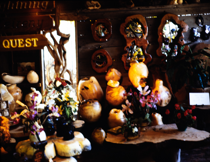 minerva_deak_f_c3_s2_51_1983_aug_freeport-008