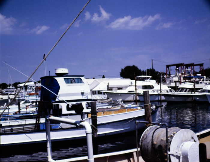 minerva_deak_f_c3_s2_51_1983_aug_freeport-010