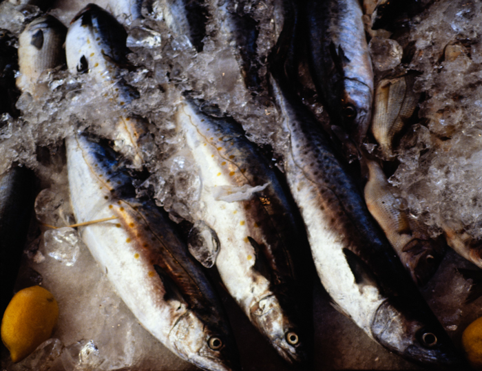 minerva_deak_f_c3_s2_51_1983_aug_freeport-013