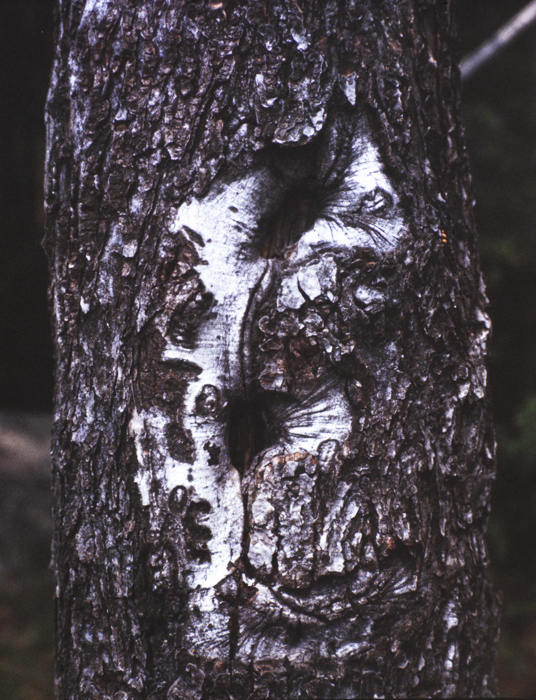 minerva_deak_f_c3_s2_52_1983_aug_bert_mt-007