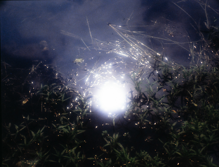 minerva_deak_f_c3_s2_52_1983_aug_bert_mt-009