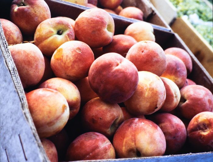 minerva_deak_f_c3_s2_53_1983_aug_gyümölcsök-001