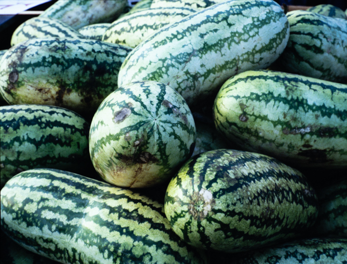 minerva_deak_f_c3_s2_53_1983_aug_gyümölcsök-002