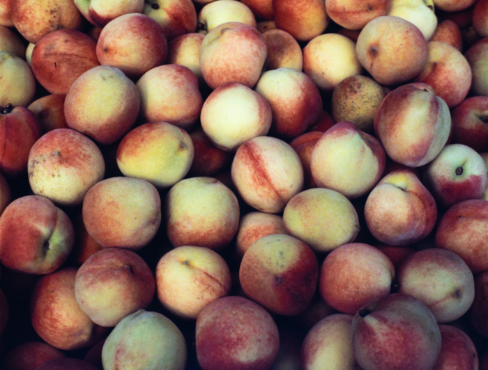 minerva_deak_f_c3_s2_53_1983_aug_gyümölcsök-005