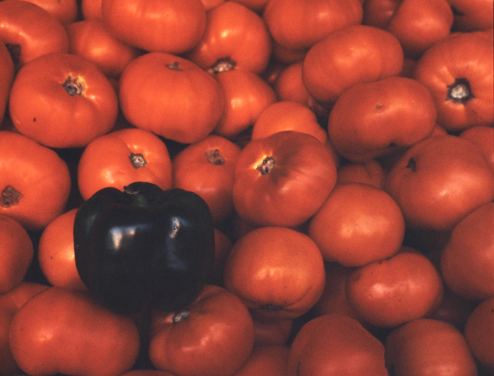 minerva_deak_f_c3_s2_53_1983_aug_gyümölcsök-012