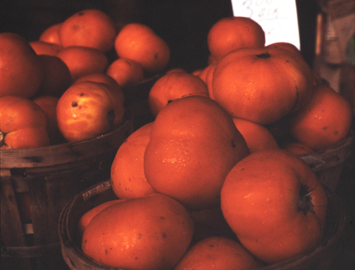 minerva_deak_f_c3_s2_53_1983_aug_gyümölcsök-014