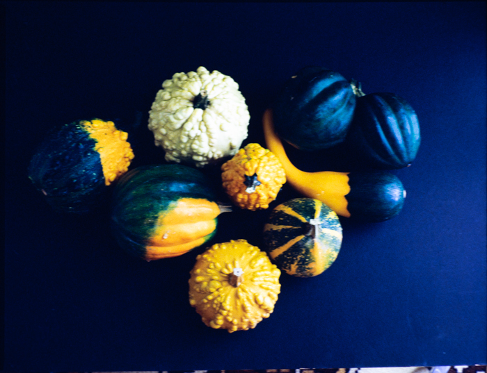 minerva_deak_f_c3_s2_58_tökök-001