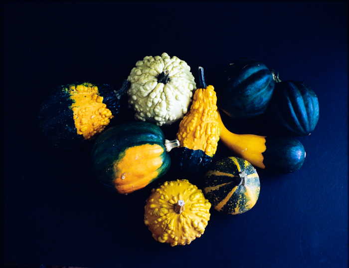 minerva_deak_f_c3_s2_58_tökök-002