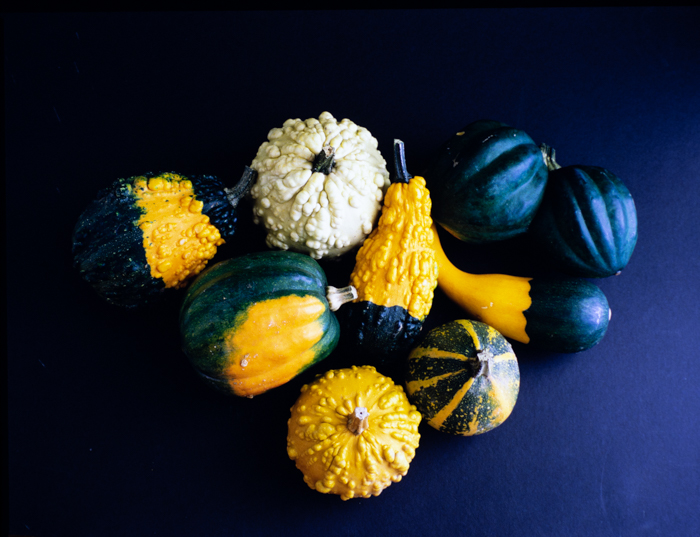 minerva_deak_f_c3_s2_58_tökök-003