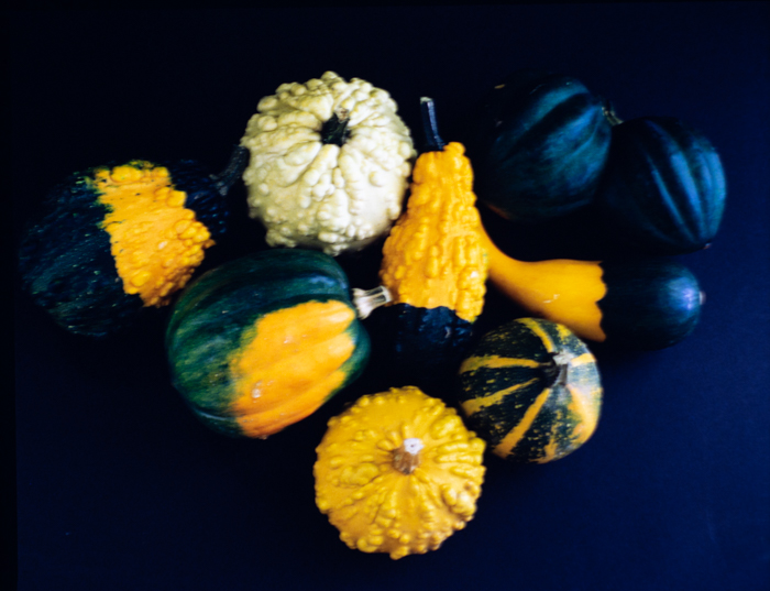 minerva_deak_f_c3_s2_58_tökök-004