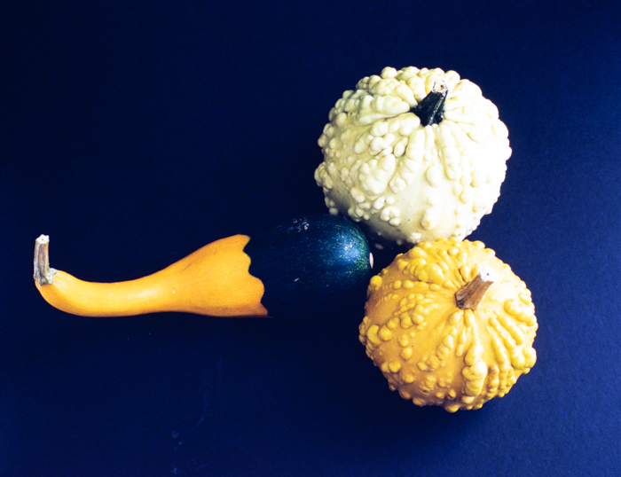 minerva_deak_f_c3_s2_58_tökök-005