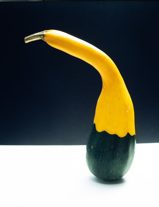 minerva_deak_f_c3_s2_58_tökök-008