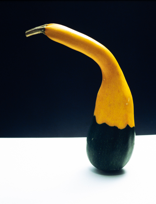 minerva_deak_f_c3_s2_58_tökök-009